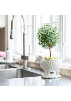 New 😉 Juliska Clever Creatures Renoir - Ram Serving Bowl 💯 10 New 😉 Juliska Clever Creatures Renoir - Ram Serving Bowl 💯 -Juliska store Belk 316