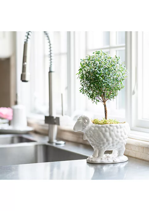 New 😉 Juliska Clever Creatures Renoir - Ram Serving Bowl 💯 5 New 😉 Juliska Clever Creatures Renoir - Ram Serving Bowl 💯 - Image 5