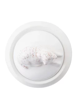 Brand new 🌟 Juliska Clever Creatures Henri - Lamb Lidded Jar ✔️ -Juliska store Belk 486