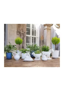 Best Pirce ⭐ Juliska Clever Creatures Bridget - Bunny Butter Dish 🔔 -Juliska store Belk 680